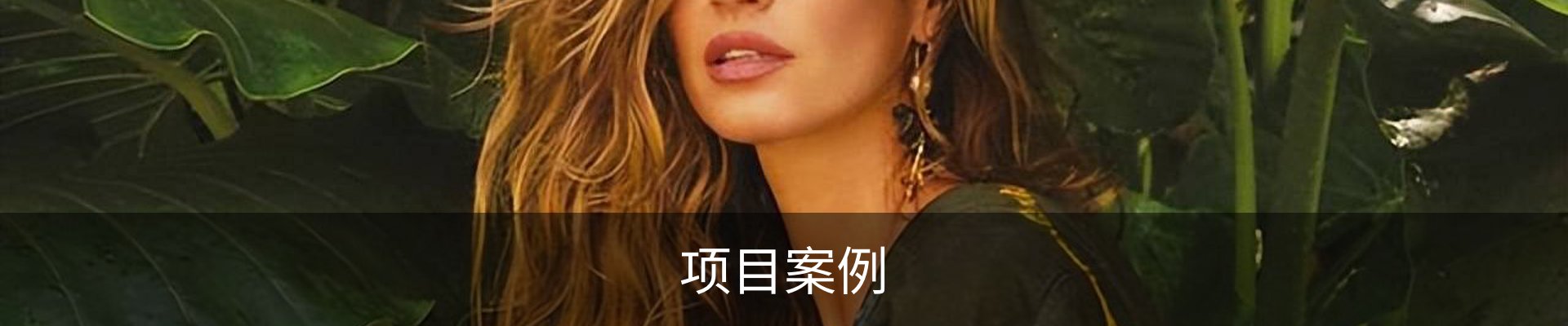 项目案例